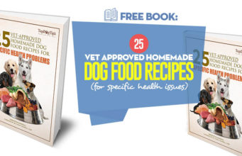 eBook: 25 Vet Approved Homemade Dog Food Recipes Our 25 Vet Approved Homemade Dog Food Recipes