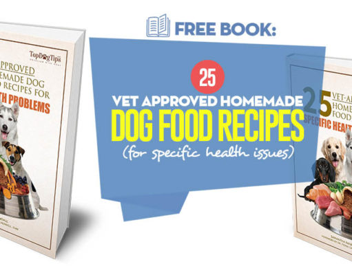 eBook: 25 Vet Approved Homemade Dog Food Recipes Our 25 Vet Approved Homemade Dog Food Recipes