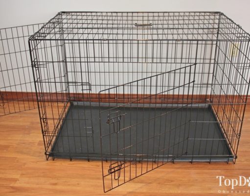 Review: OxGord Paws & Pals Folding Metal Dog Crate OxGord Paws & Pals Folding Metal Dog Crate