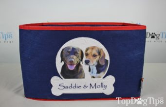 Review: PrideBites Personalized Dog Toy Box (2018) PrideBites Personalized Dog Toy Box