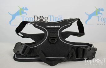 Review: Rabbitgoo No-Pull Dog Harness Hands-Free Dog Walking Supplies Giveaway