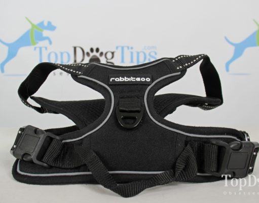 Review: Rabbitgoo No-Pull Dog Harness Hands-Free Dog Walking Supplies Giveaway