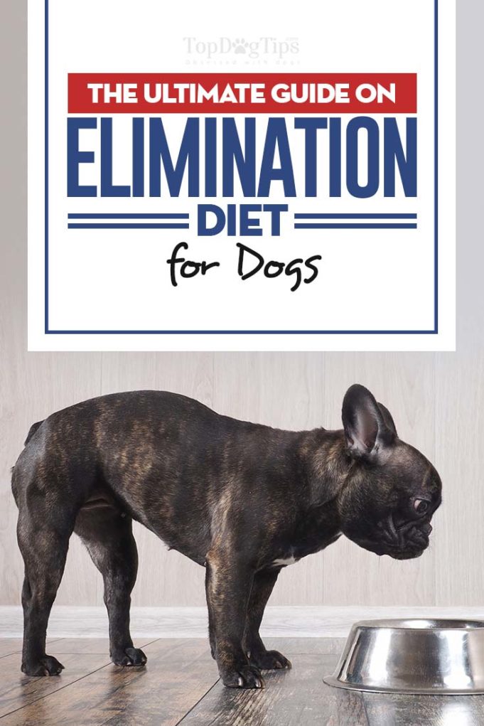 Picture of Dog Elimination Diet: The Ultimate Science-based Guide