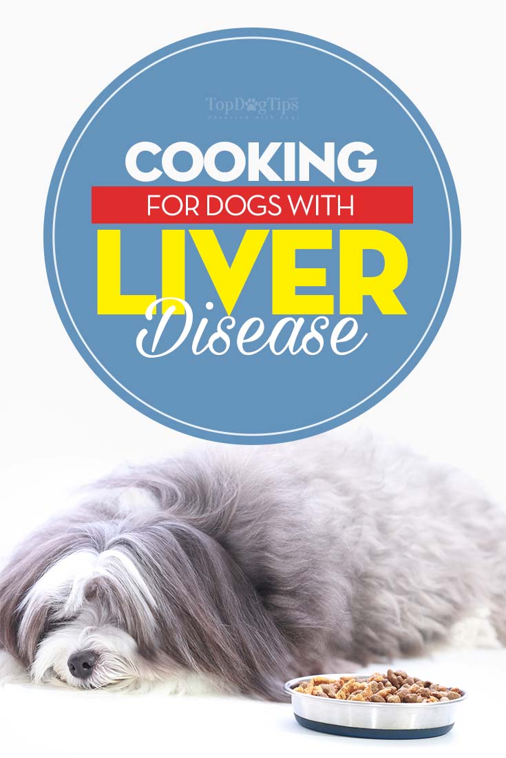 How To Feed Dogs With Liver Disease Top Dog Tips