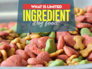What Limited Ingredient Dog Food Really Is (And When You May Need It) The Guide to Limited Ingredient Dog Food