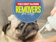 Top 5 Best Dog Dander Treatments Top 5 Best Dog Dander Treatments