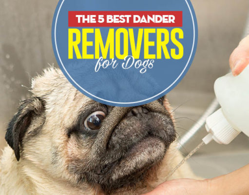 Top 5 Best Dog Dander Treatments Top 5 Best Dog Dander Treatments
