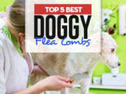 Top 5 Best Dog Flea Combs for Every Coat Type Top 5 Best Dog Flea Combs for Every Coat Type