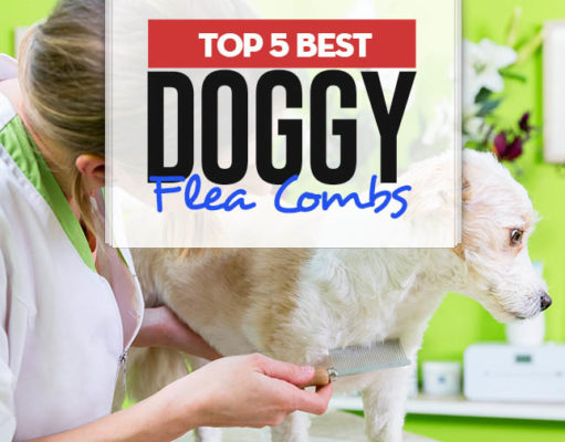 Top 5 Best Dog Flea Combs for Every Coat Type Top 5 Best Dog Flea Combs for Every Coat Type
