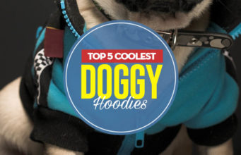 Top 5 Best Doggy Hoodies Top 5 Best Dog Hoodie Brands