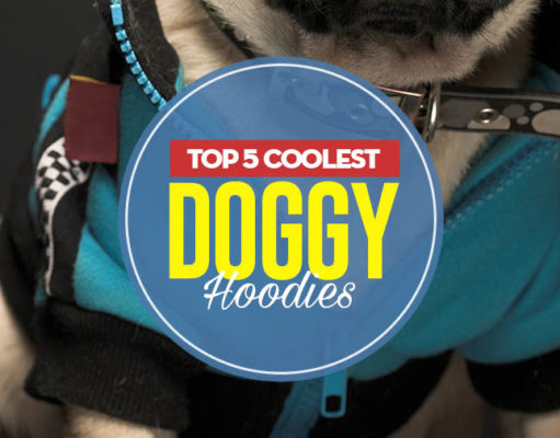 Top 5 Best Doggy Hoodies Top 5 Best Dog Hoodie Brands