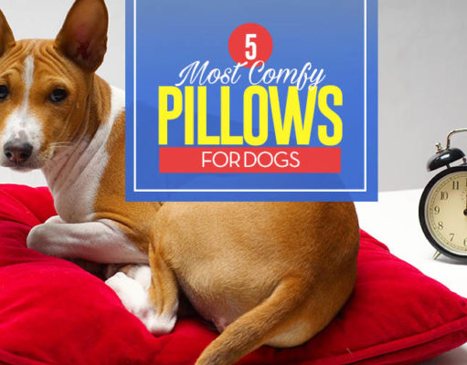 Top 5 Best Dog Pillows and Pillow Beds Top 5 Best Dog Pillows and Pillow Beds