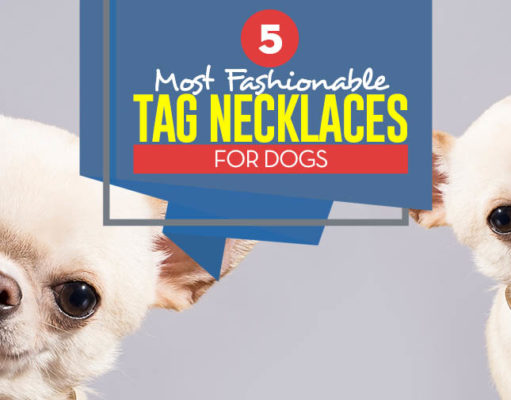 Top 5 Most Stylish Fashion Dog Collars and Tag Necklaces Top 5 Best Dog Tag Necklace and Fashion Dog Collars
