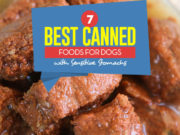 Top 7 Best Canned Foods for Dogs With Sensitive Stomach in 2023 Top 7 Best Canned Dog Food for Sensitive Stomach