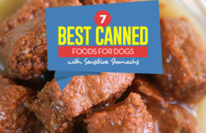 Top 7 Best Canned Foods for Dogs With Sensitive Stomach in 2023 Top 7 Best Canned Dog Food for Sensitive Stomach