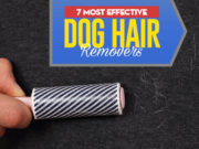Top 7 Best Dog Hair Removers Top 7 Best Dog Hair Remover Tool