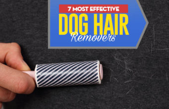 Top 7 Best Dog Hair Removers Top 7 Best Dog Hair Remover Tool