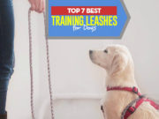 The 7 Best Training Leashes for Puppies and Adult Dogs Top 7 Best Dog Training Leash for Puppies and Adult Dogs