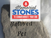 Top 8 Best Dog Memorial Stones Top 8 Best Pet Memorial Stones to Keep Your Dog's Memory Alive