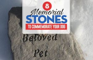 Top 8 Best Dog Memorial Stones Top 8 Best Pet Memorial Stones to Keep Your Dog's Memory Alive