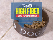 11 Best High Fiber Dog Food Brands Top Best High Fiber Dog Food Brands
