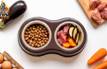 TOP #49: Clean Eating for Dogs – Is It Worth It? Best Dog Food for Struvite Crystal in Dogs