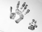 Darwin’s Dogs Aim to Uncover Canine DNA Changes Caused by Domestication Darwin's Dogs Aim to Uncover Canine DNA Changes Caused by Domestication