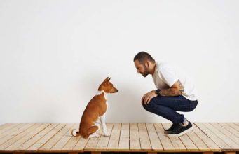 Dog-Speak Helps Owners Build Relationships With Their Dogs Dog-Speak Helps Owners Build Relationships With Their Dogs