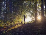 Dogs Are Our Best Friends Because We May Share Similar Genes Dogs Are Our Best Friends Because We Share Similar Genes