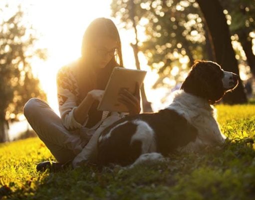 Dogs for Students: 6 Things You Must Consider Dogs for Students - 6 Things You Must Consider