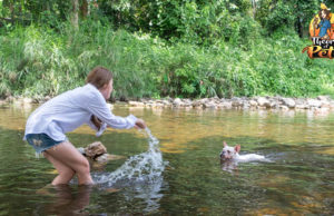 TOP #47: Exciting Ways to Get Active With Your Dog Exciting Ways to Get Active With Your Dog