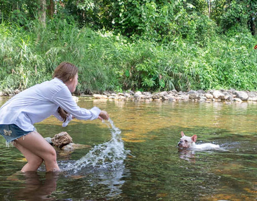 TOP #47: Exciting Ways to Get Active With Your Dog Exciting Ways to Get Active With Your Dog