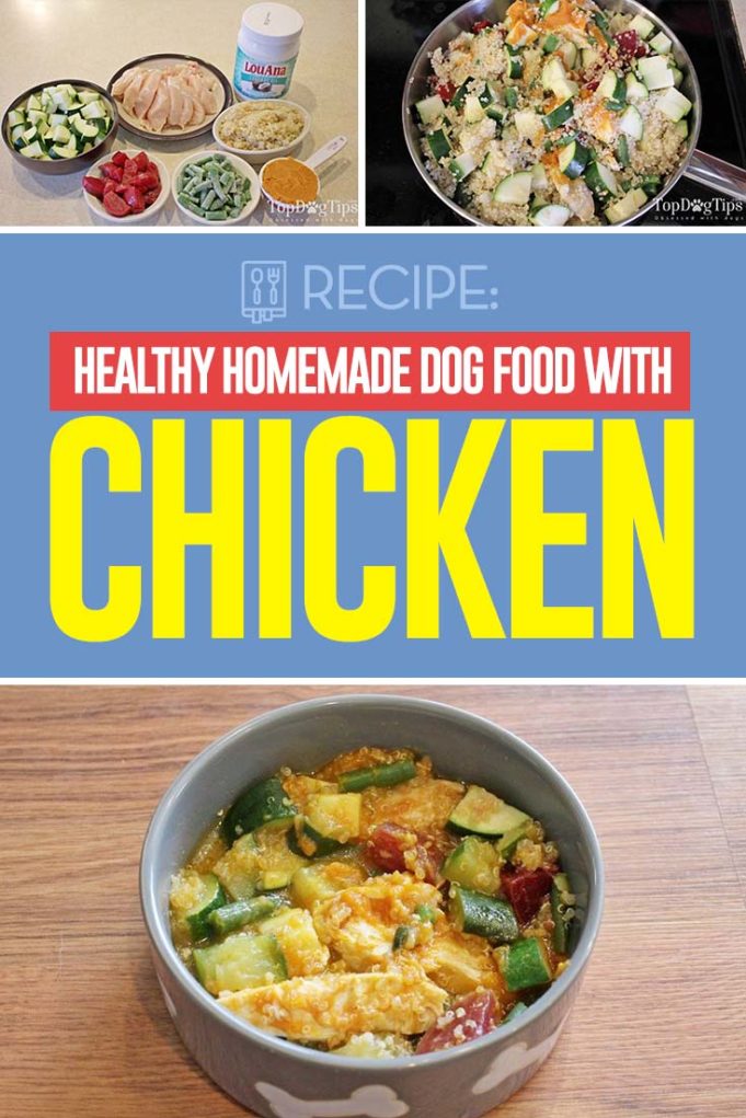 Healthiest Homemade Dog Food with Chicken Recipe
