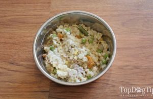 Recipe: Healthiest Homemade Dog Food with Ground Beef Healthiest Homemade Dog Food with Ground Beef