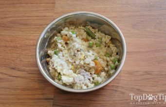 Recipe: Healthiest Homemade Dog Food with Ground Beef Healthiest Homemade Dog Food with Ground Beef
