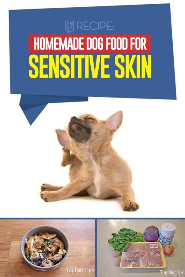Dog Food Recipes For Eczema And Sensitive Skin preview