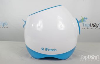 Review: Ifetch Too Interactive Ball Launcher for Dogs Ifetch Too Interactive Ball Launcher
