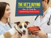 Ask a Vet: Is Grain Free Food Bad for Dogs? Reasons Why a Grain Free Diet for Dogs May Not Be Right