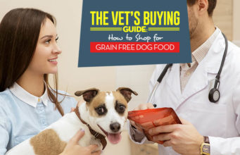Ask a Vet: Is Grain Free Food Bad for Dogs? Reasons Why a Grain Free Diet for Dogs May Not Be Right
