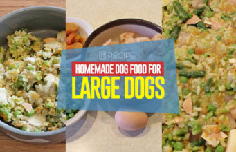 Recipe: Homemade Dog Food for Large Dogs Recipe - Homemade Dog Food for Large Dogs