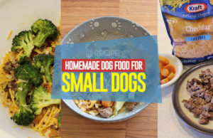 Recipe: Homemade Dog Food for Small Dogs Recipe - Homemade Dog Food for Small Dogs