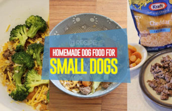 Recipe: Homemade Dog Food for Small Dogs Recipe - Homemade Dog Food for Small Dogs