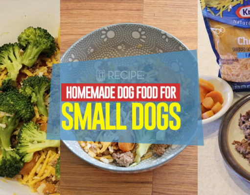 Recipe: Homemade Dog Food for Small Dogs Recipe - Homemade Dog Food for Small Dogs