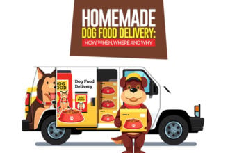 10 Homemade Dog Food Delivery Services from around the Globe The 10 Best Homemade Dog Food Delivery Services from around the Globe