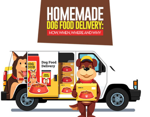 10 Homemade Dog Food Delivery Services from around the Globe The 10 Best Homemade Dog Food Delivery Services from around the Globe