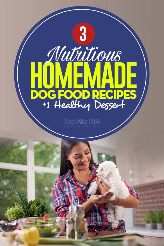 3 Healthy Recipes for Homemade Dog Food (And One Dessert)