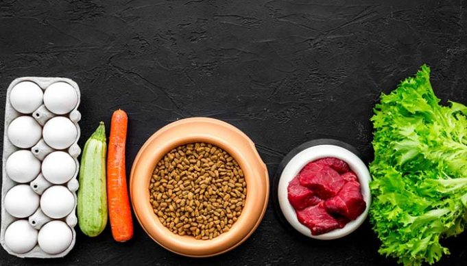 A closer look at Elimination Diet Dog Food For Sensitive Dogs