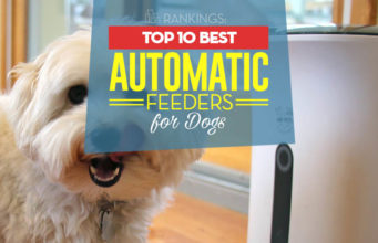 Top 10 Best Automatic Dog Feeders Top 10 Best Automatic Dog Feeder Choices of 2018