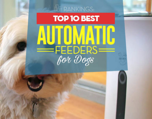 Top 10 Best Automatic Dog Feeders Top 10 Best Automatic Dog Feeder Choices of 2018