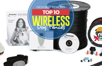 Top 10 Best Wireless Dog Fences Top 10 Best Wireless Dog Fence Systems of 2018
